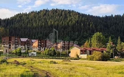 Lease Flat Bakuriani Borjomi Samtskhe   Javakheti