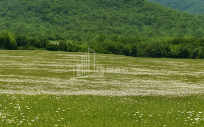 Продается Земля Гомбори Сагареджо Кахети