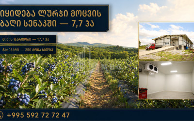 For Sale Orchards Land In Senaki