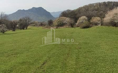 For Sale Country Land, in Orbeti