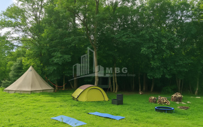 იყიდება ბიზნესი კომერციული ფართი თელავი კახეთი