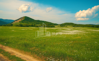 Продается Земля Гомбори Сагареджо Кахети