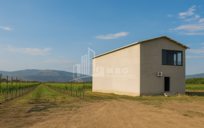 იყიდება კომერციული ფართი დოესი კასპი შიდა ქართლი