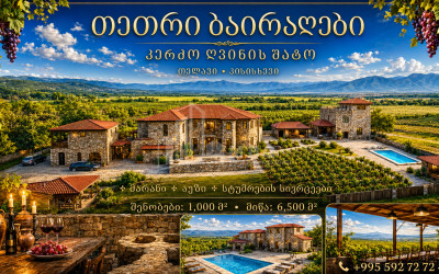 For Sale Chateau / Wine factory Commercial In Kakheti
