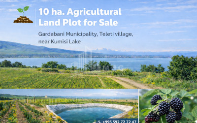 Продается Земля Самтацкаро Дедоплисцкаро Кахети