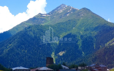 For Sale Commercial Tsvirmi Mestia Samegrelo   Upper Svaneti