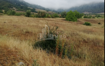 For Sale Vineyard - Chateau Land, in Matani