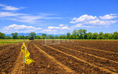 იყიდება სავენახე - საშატოე მიწის ნაკვეთი თელავში