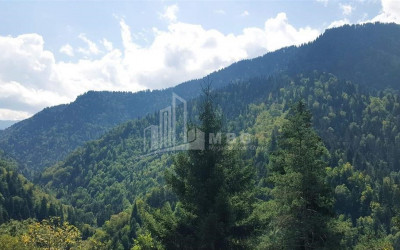 იყიდება სააგარაკე მიწის ნაკვეთი, ტბა