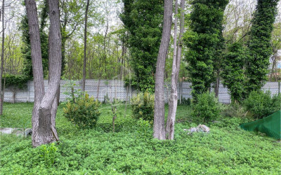 იყიდება ბიზნესი კომერციული ფართი თელავი კახეთი