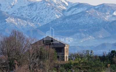 იყიდება ძველი აშენებული სახლი - აგარაკი ზემო ნატანებში, ოზურგეთი