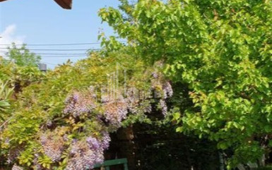 For Sale House - Villa, in Village Dighomi