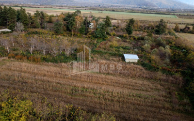 For Sale Land Lagodekhi Kakheti