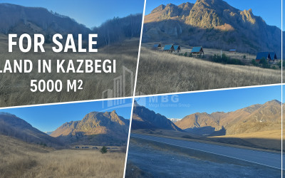 For Sale House Villa Victory Gardabani Kvemo Kartli