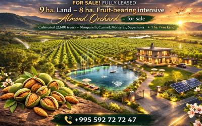 Продается Фруктовые сад Земля В Болниси