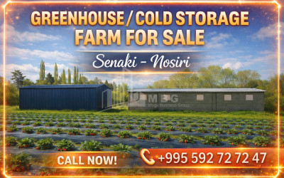 Продается Квартира, Улица Топуридзе, Вашлиджвари, Сабуртальский Район, Тбилиси