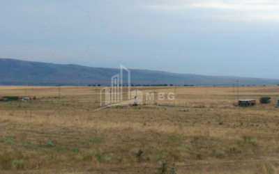 For Sale Orchards Land, in Kumisi