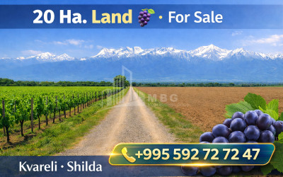For Sale Orchards Land, in Kvareli