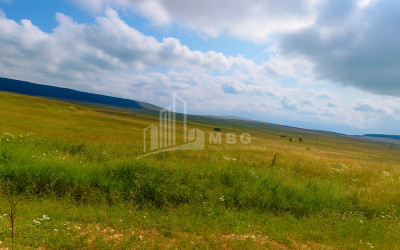 იყიდება მიწის ნაკვეთი წალკა ქვემო ქართლი