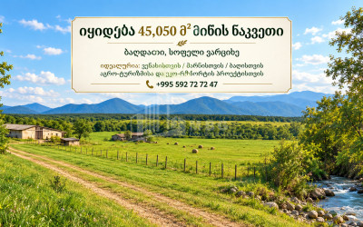 იყიდება სააგარაკე მიწის ნაკვეთი იმერეთში
