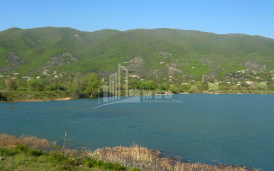 იყიდება მიწის ნაკვეთი, ბულაჩაური, დუშეთის მუნიციპალიტეტი, მცხეთა - თიანეთი