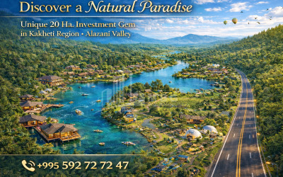 იყიდება კომერციული - არასასოფლო მიწის ნაკვეთი კახეთში