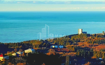 For Sale Land Sakhalvasho Kobuleti Adjara