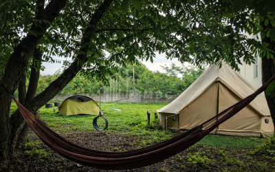 Business for sale Commercial Telavi Kakheti