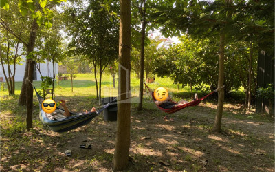 იყიდება ბიზნესი კომერციული ფართი თელავი კახეთი