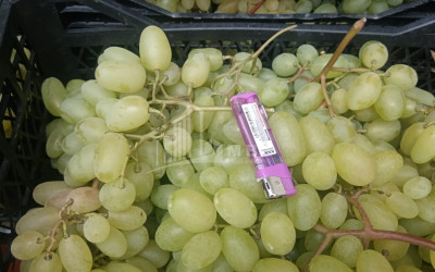 For Sale Land, Nosiri, Senaki, Samegrelo