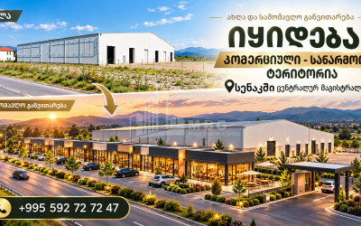 For Sale Production / warehousing space, Business yard Commercial In Nosiri, Senaki