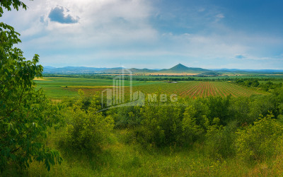 For Sale Land Bolnisi Kvemo Kartli