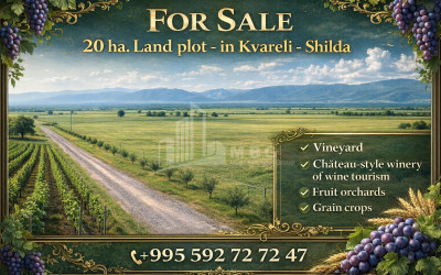 For Sale Витражный фасад Commercial, in Betania