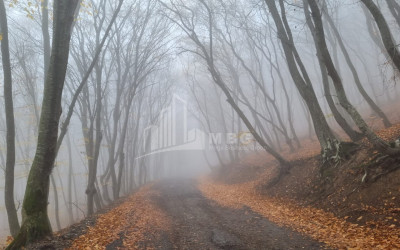 Продается Дом - Вилла В Коджори, Мтацминда Район