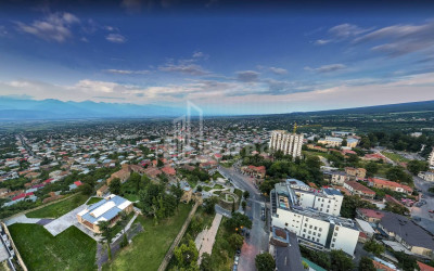 იყიდება მიწის ნაკვეთი თელავის მუნიციპალიტეტი კახეთი
