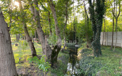 იყიდება ბიზნესი კომერციული ფართი თელავი კახეთი