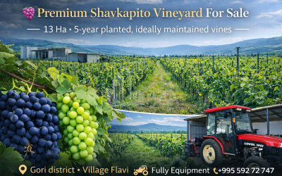 For Sale Vineyard - Chateau Land In Gori