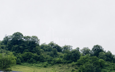 For Sale Country Land In Racha