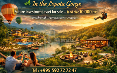 იყიდება ბიზნესი კომერციული ფართი თელავი კახეთი