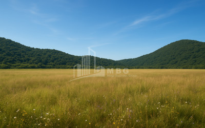 For Sale Land Gremi Kvareli Kakheti