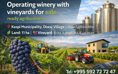 იყიდება შატო / ღვინის ქარხანა / მარანი კომერციული ფართი დოესში, კასპი