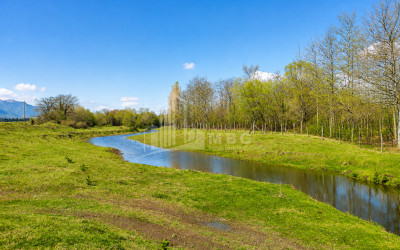For Sale Orchards Land In Abasha