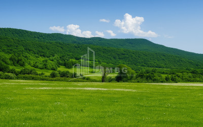 Продается Земля Гомбори Сагареджо Кахети