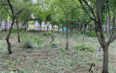 იყიდება ბიზნესი კომერციული ფართი თელავი კახეთი