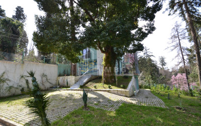 For Sale House Villa Makhinjauri Batumi Adjara