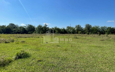 Продается Дачные Земля, в Варцихе