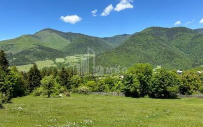 For Sale Land on the Sun. Borjomi Samtskhe   Javakheti