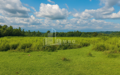 For-Sale-Land-Eki-village-Senaki-Samegrelo---Upper-Svaneti