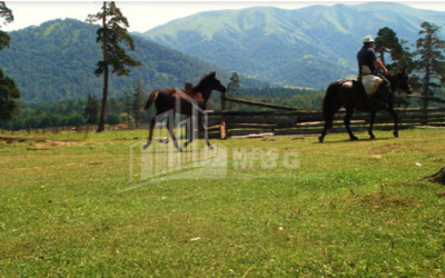 For Sale Land Tsikhisjvari Borjomi Samtskhe   Javakheti