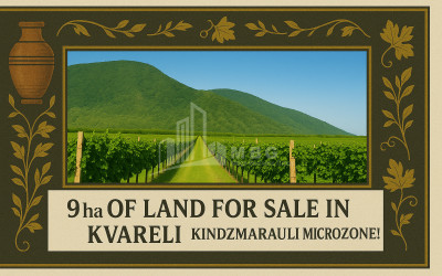 For Sale Land Kvareli Kakheti